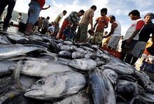 海洋過(guò)度開發(fā)的污染